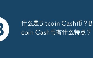 什么是Bitcoin Cash币？Bitcoin Cash币有什么特点？