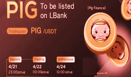pig币交易所app官网下载 pig币官网app下载-第1张图片-易算准
