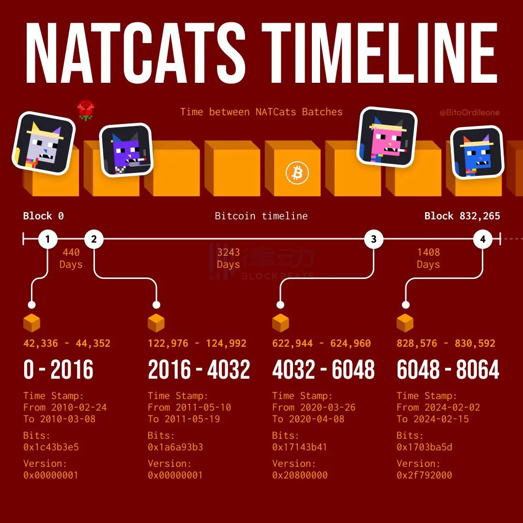Natcats 一周狂涨十倍，DMT小图片究竟是什么？-第6张图片-易算准