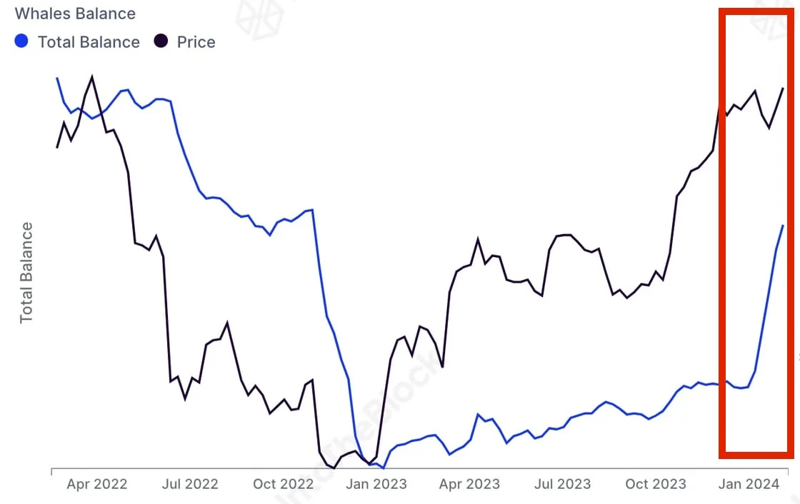 Glassnode：95%以上BTC处于盈利！巨鲸加仓、美元贬值助涨比特币-第3张图片-易算准
