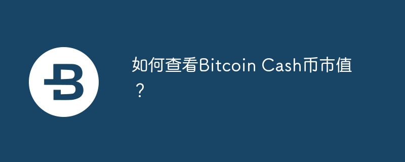 如何查看Bitcoin Cash币市值？-第1张图片-易算准